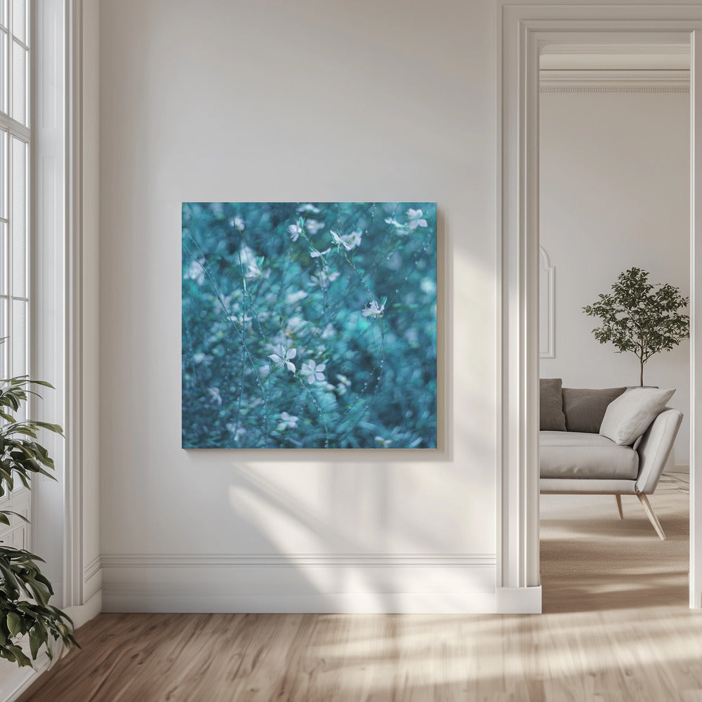 In the middle of a dream | Canvas