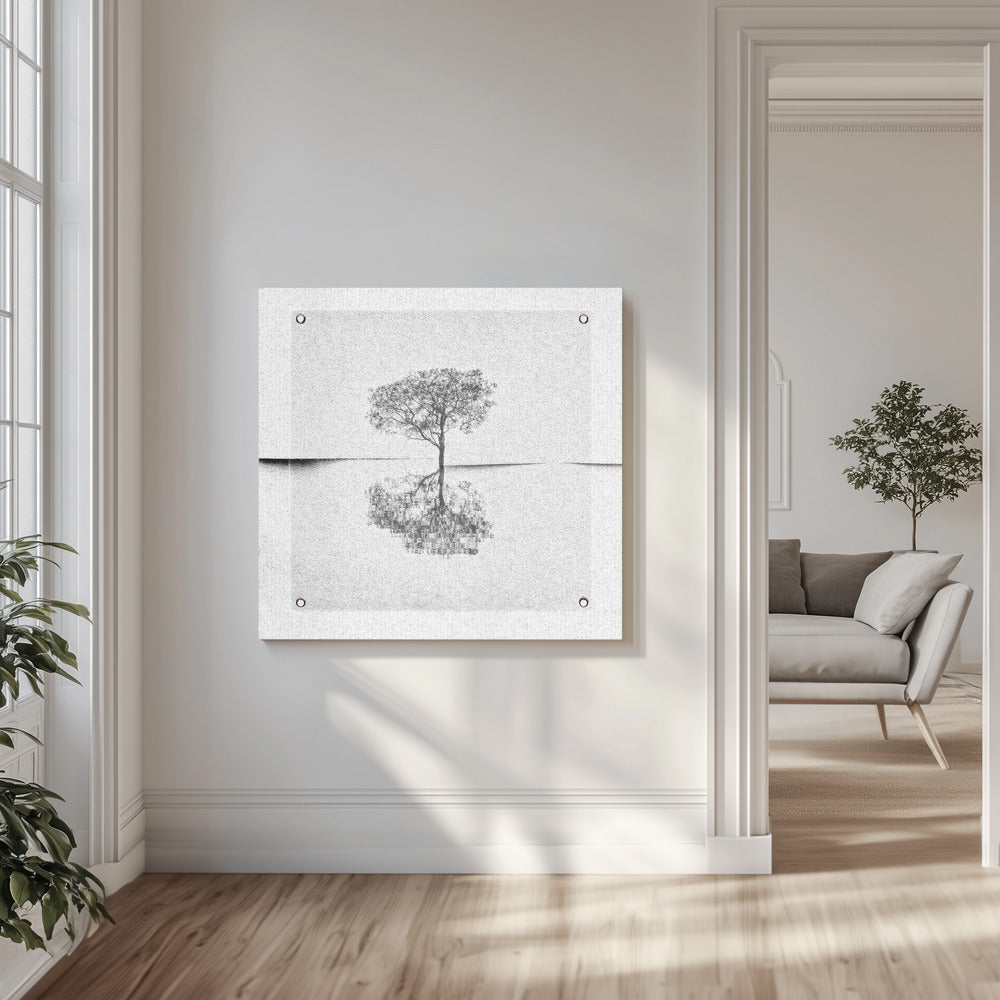 Broken canvas. | Canvas