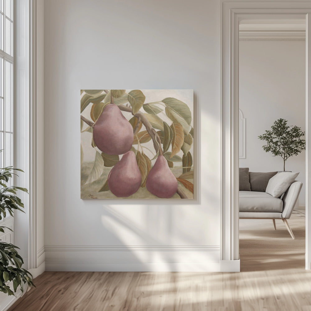 Max Red Bartlett Pears | Canvas