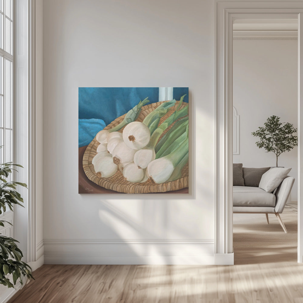 Onions | Canvas