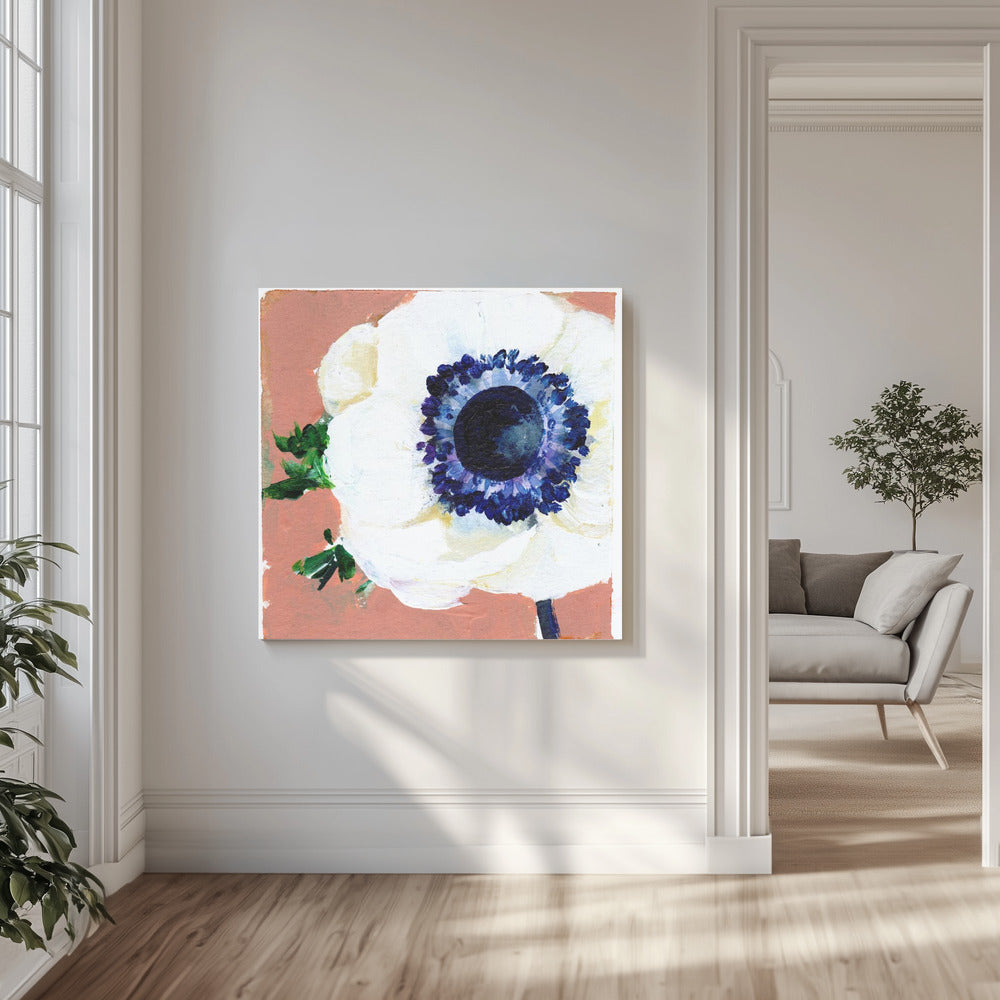 Anemone | Canvas