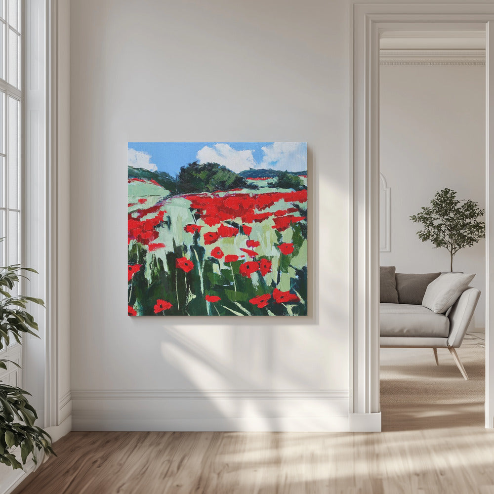 Poppies | Canvas