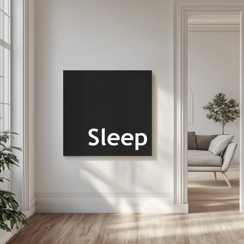 Sleep | Canvas