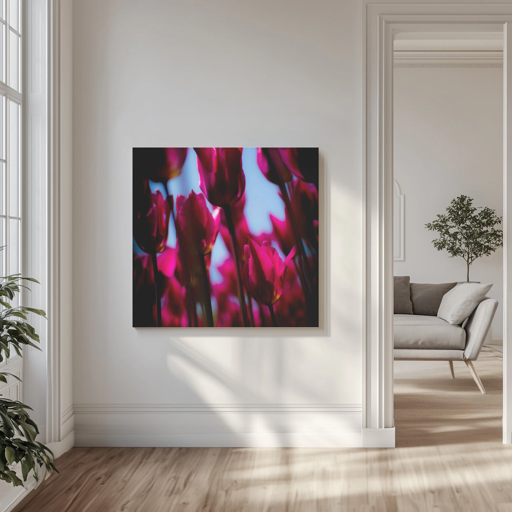 Purple Tulips | Canvas