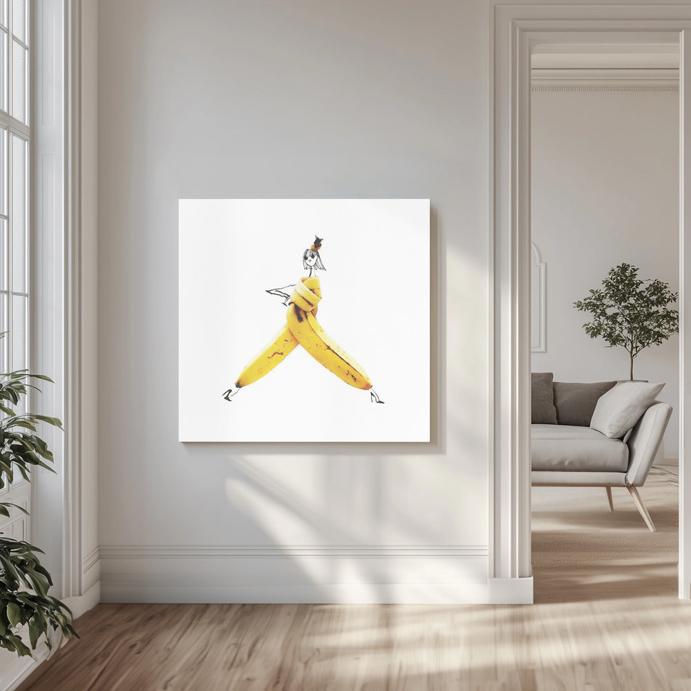 La Banane | Canvas