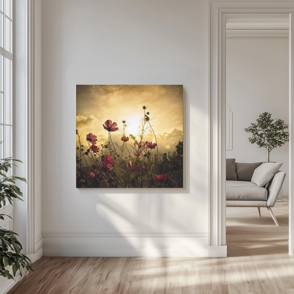 Watching the Sun | Canvas