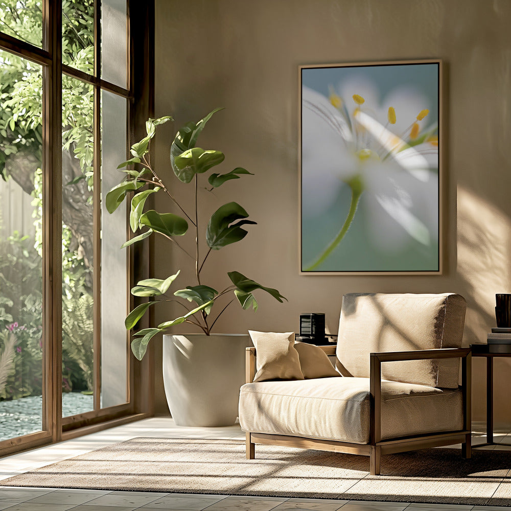 Stitchwort surprise | Poster