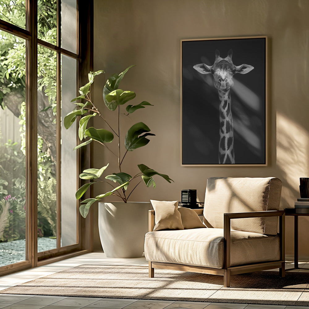 Giraffe Portrait | Poster