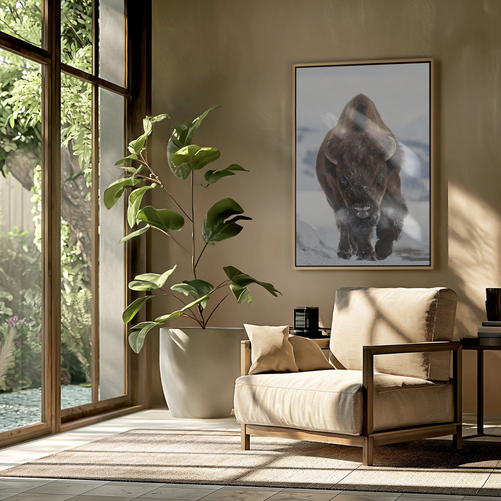 Bison Incoming | Poster