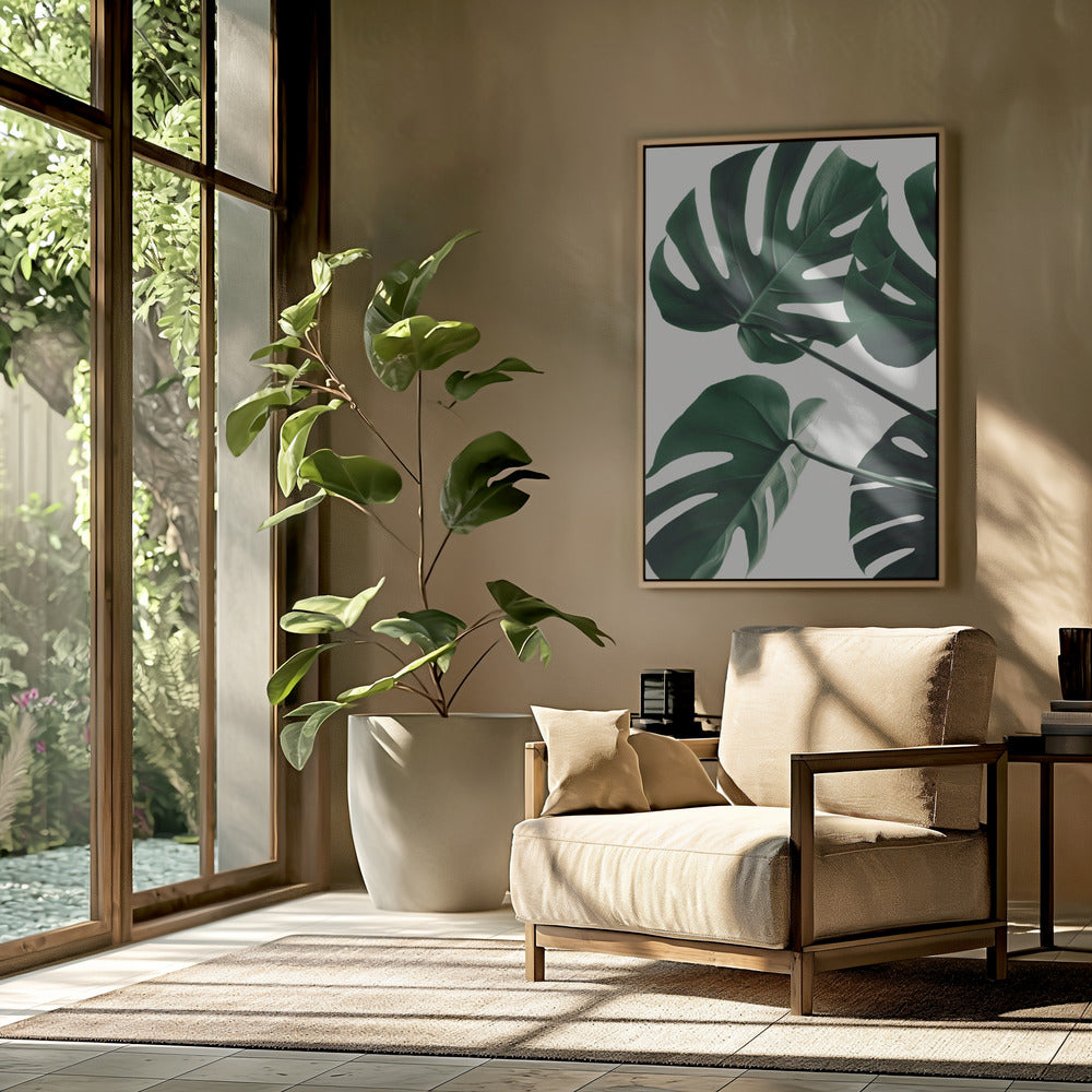 Monstera Natural 43 | Poster
