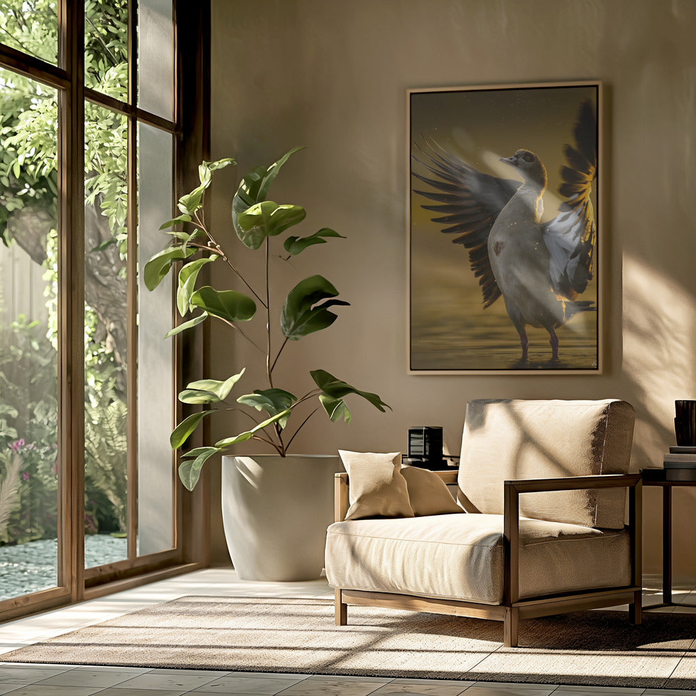 Open  Heart | Poster