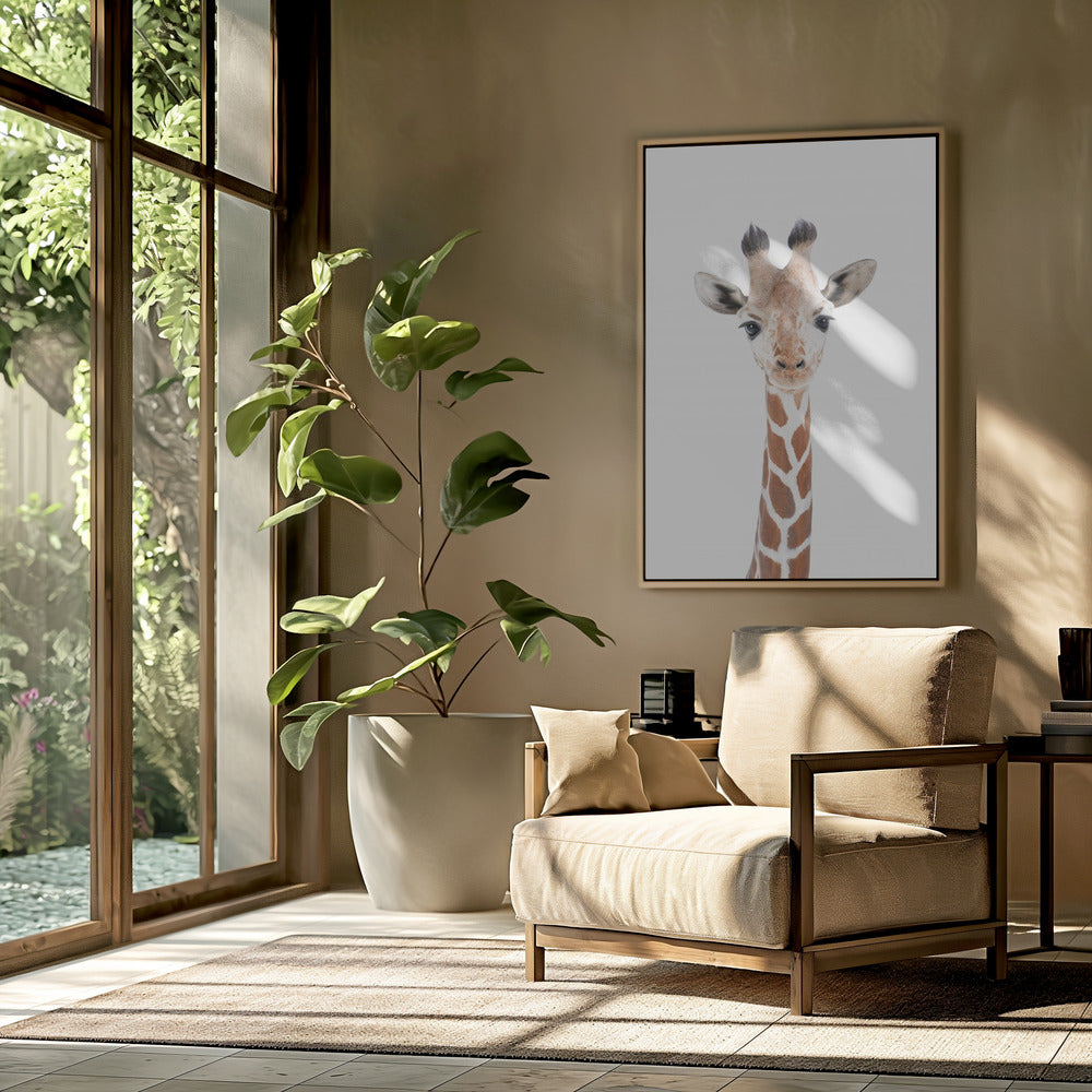Baby Giraffe | Poster