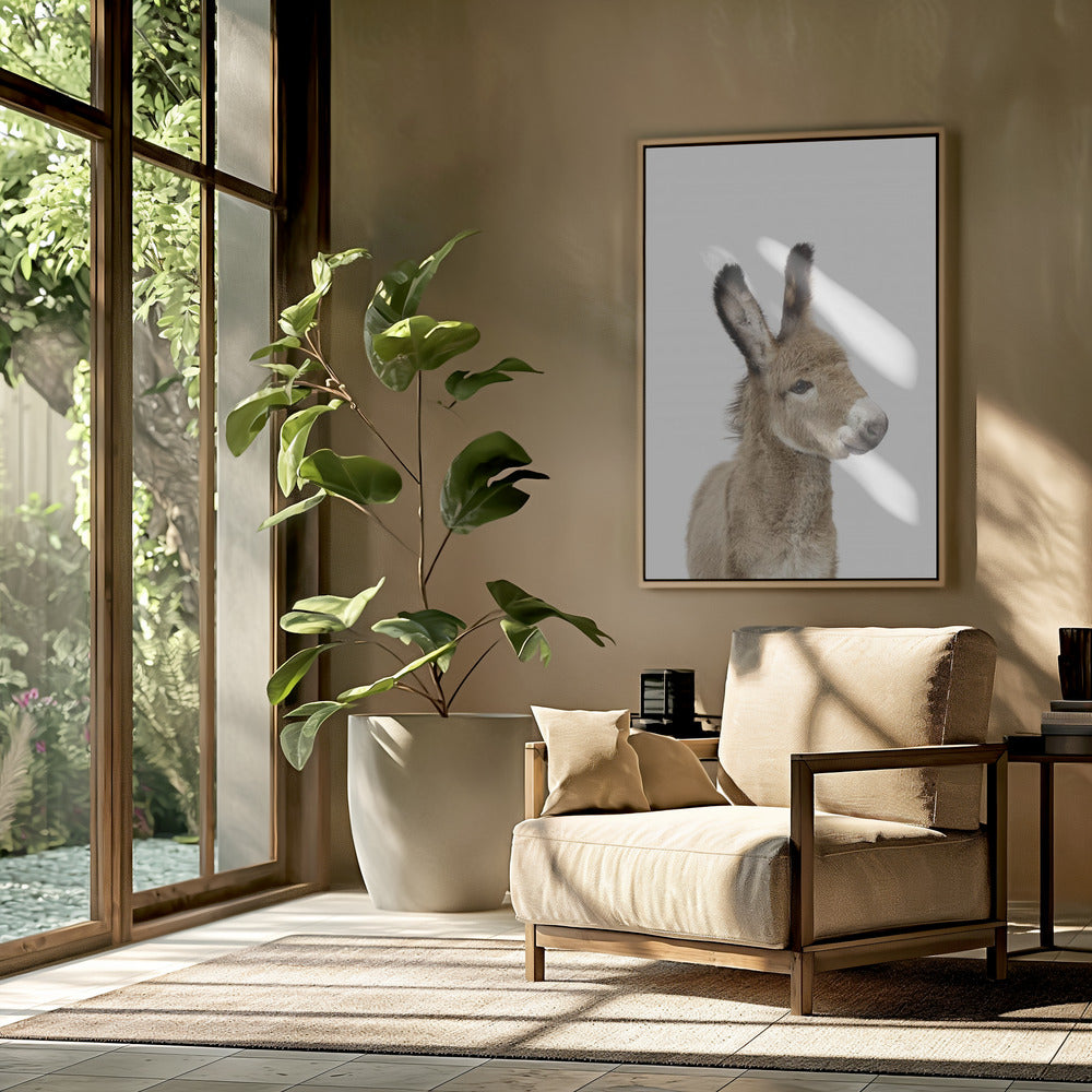 Baby Donkey | Poster