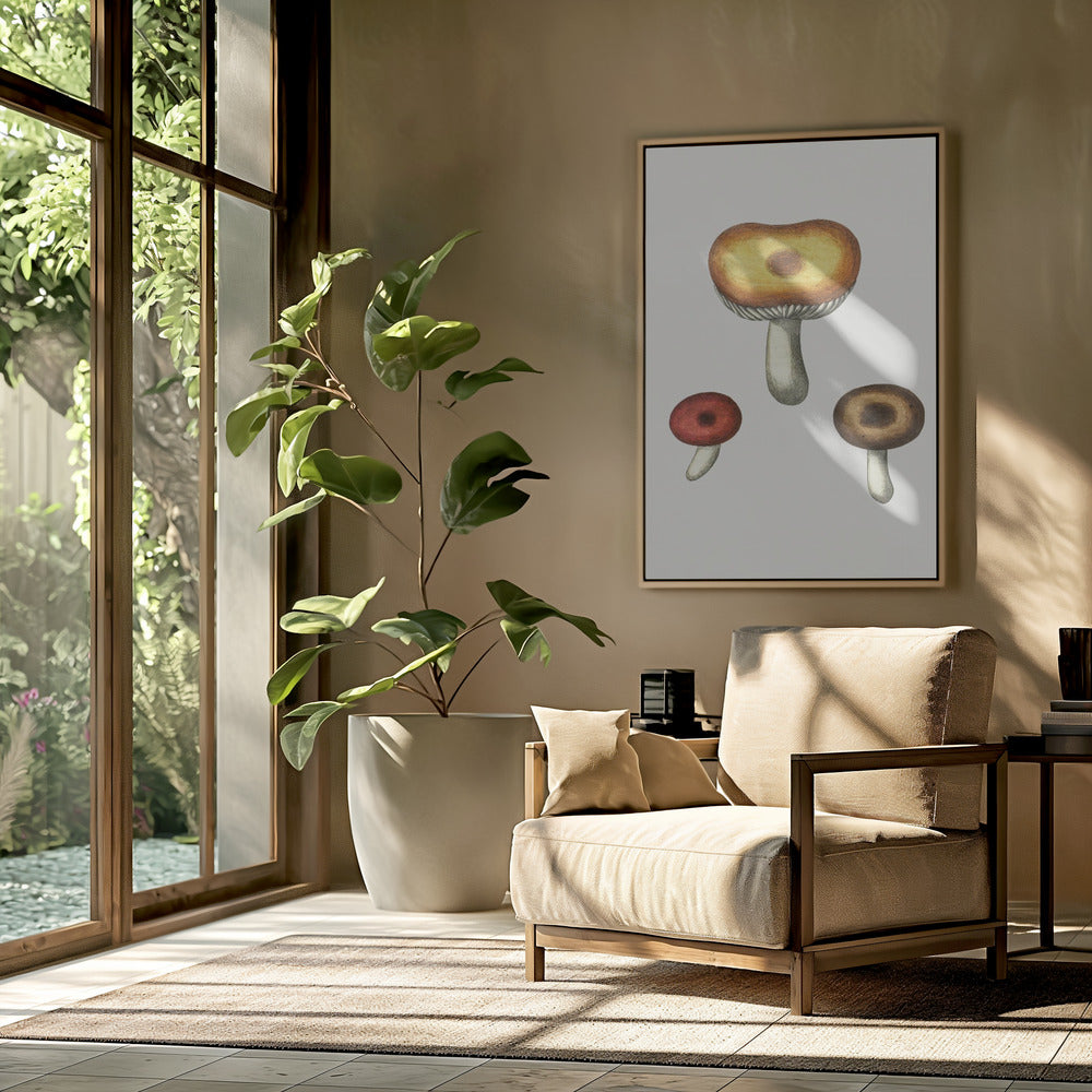 Hand Drawn Galerina Mushroom | Poster