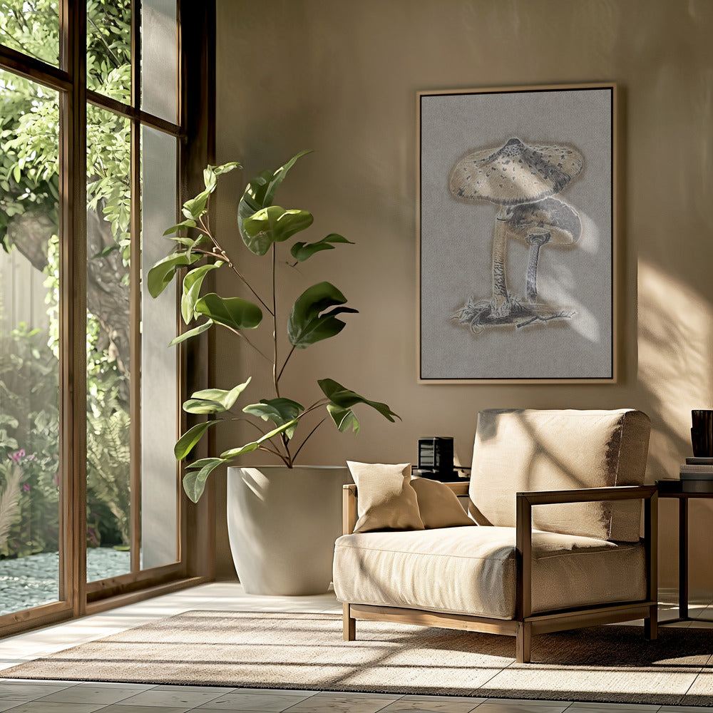 Hand Drawn Parasol Mushroom Brown | Poster