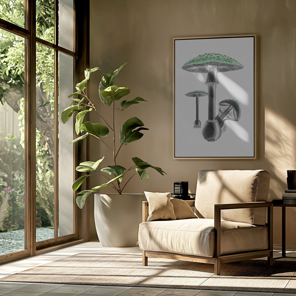Amanita Muscaria White Background Green | Poster