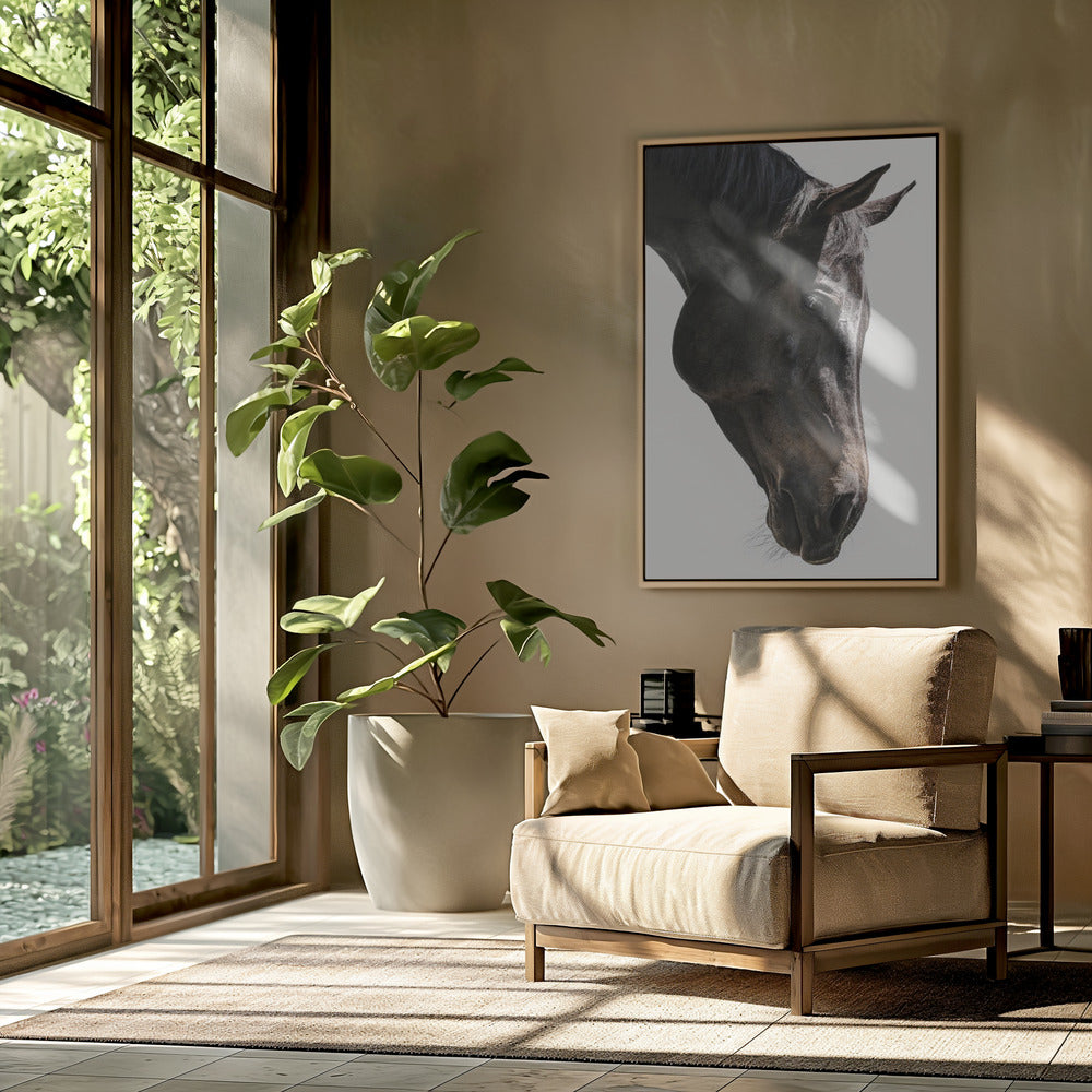 Gentle Equine Gaze | Poster