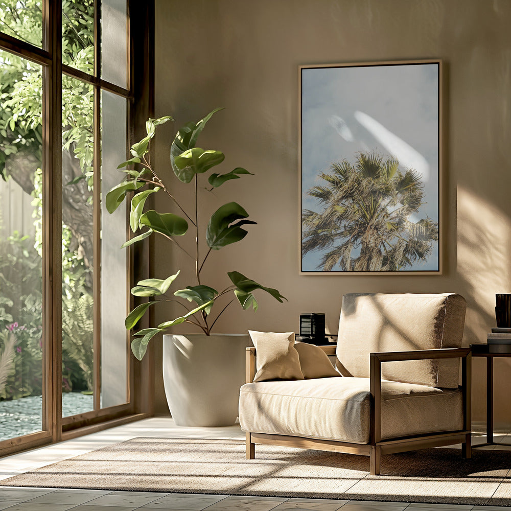 Sunlit Fronds | Poster