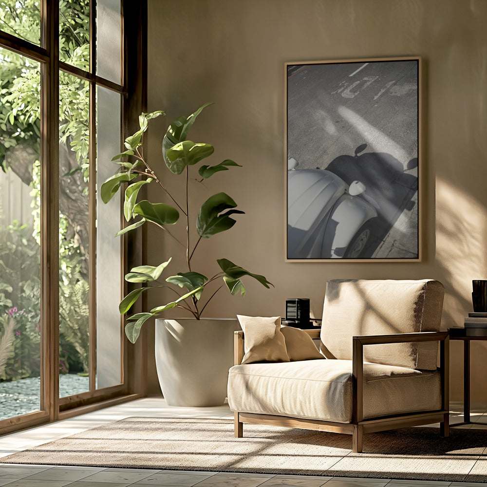 Classic Curve Shadows | Poster