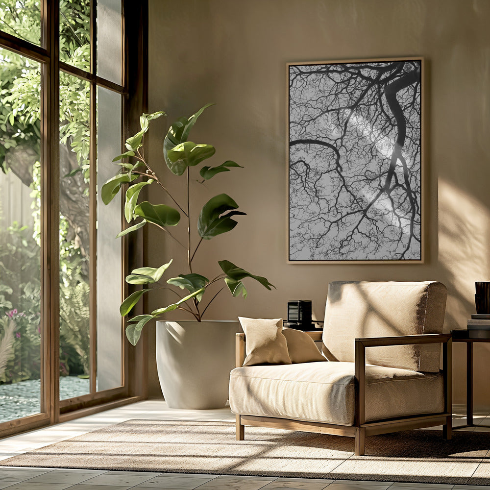 Branches&#039; Dance | Poster