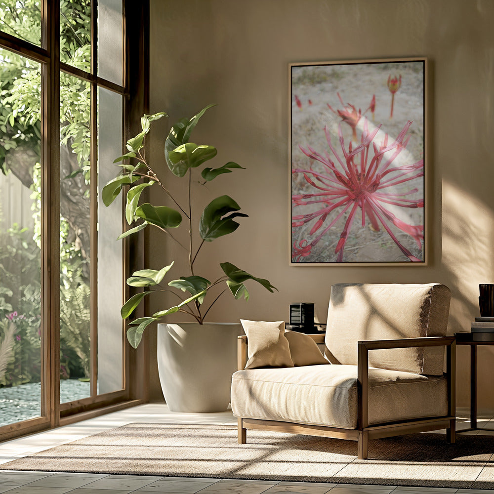 Crimson Spirals | Poster