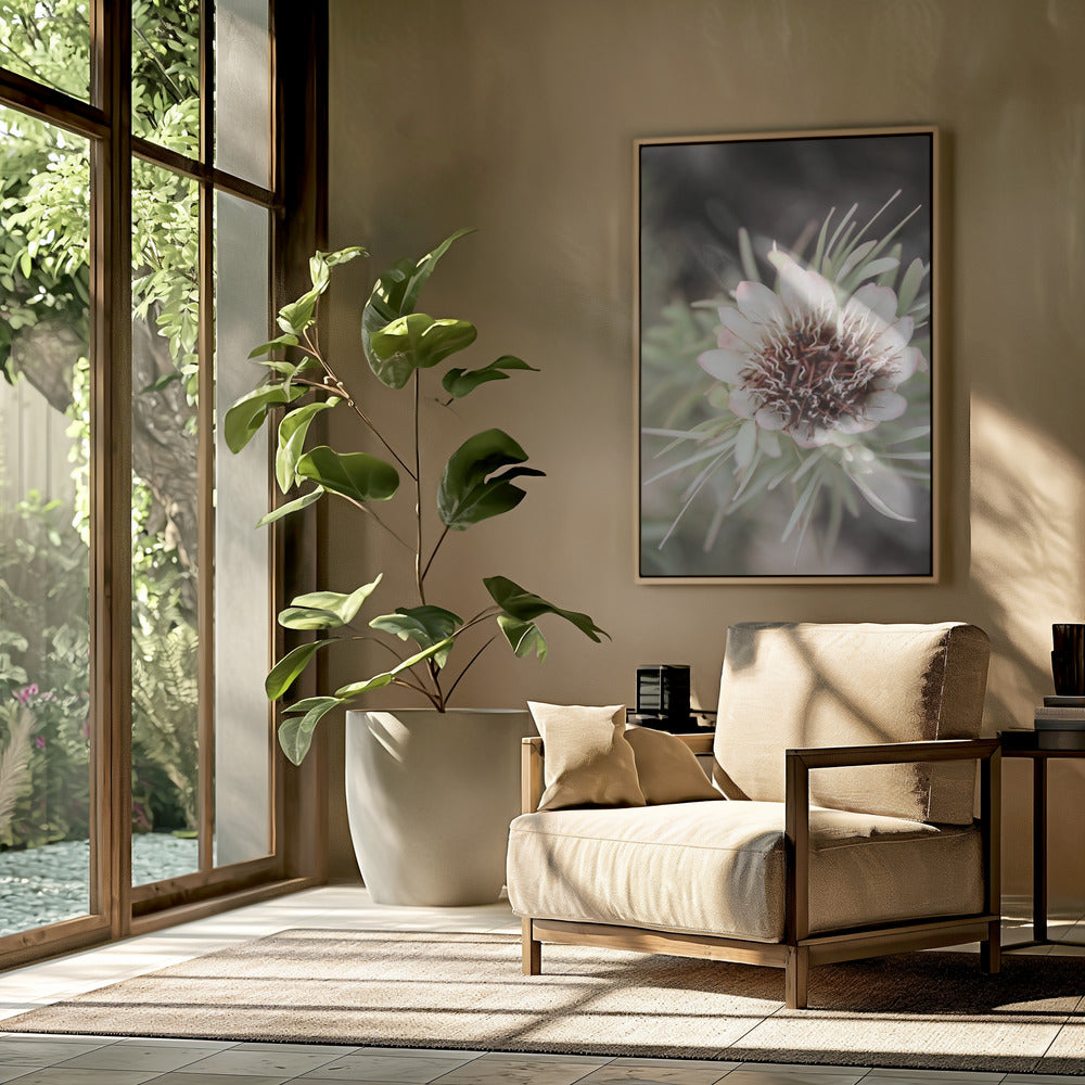 Desert Bloom Halo | Poster