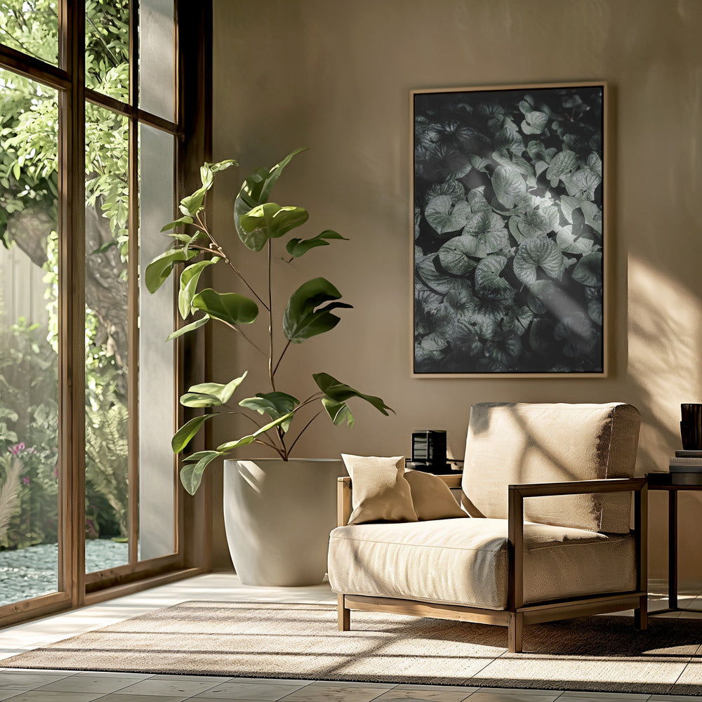 Leafy Shadows | Poster