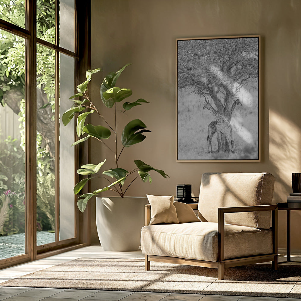 Under African Skies | Poster