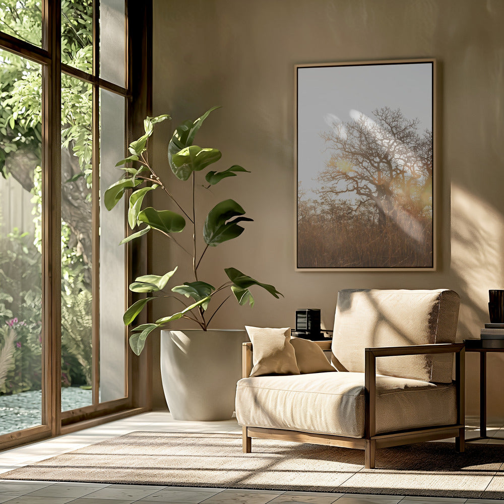 Sunlit Silhouette | Poster