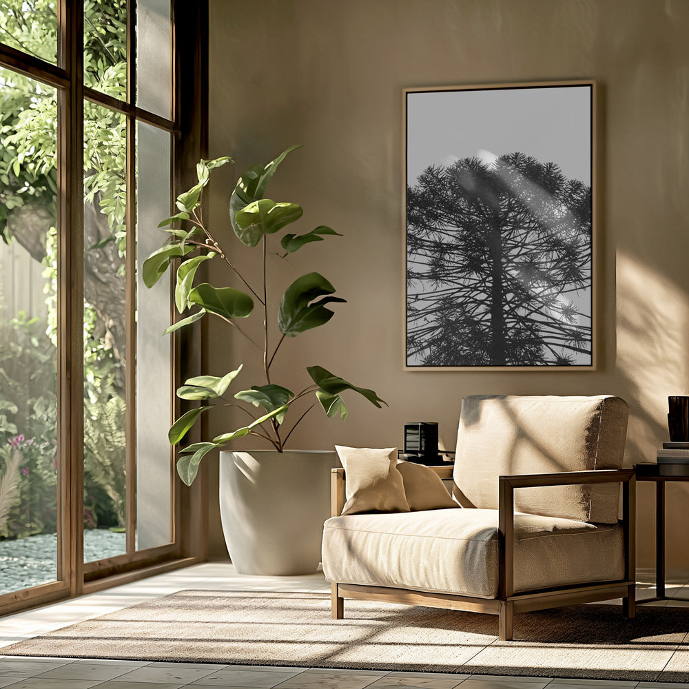 Silhouetted Symmetry | Poster