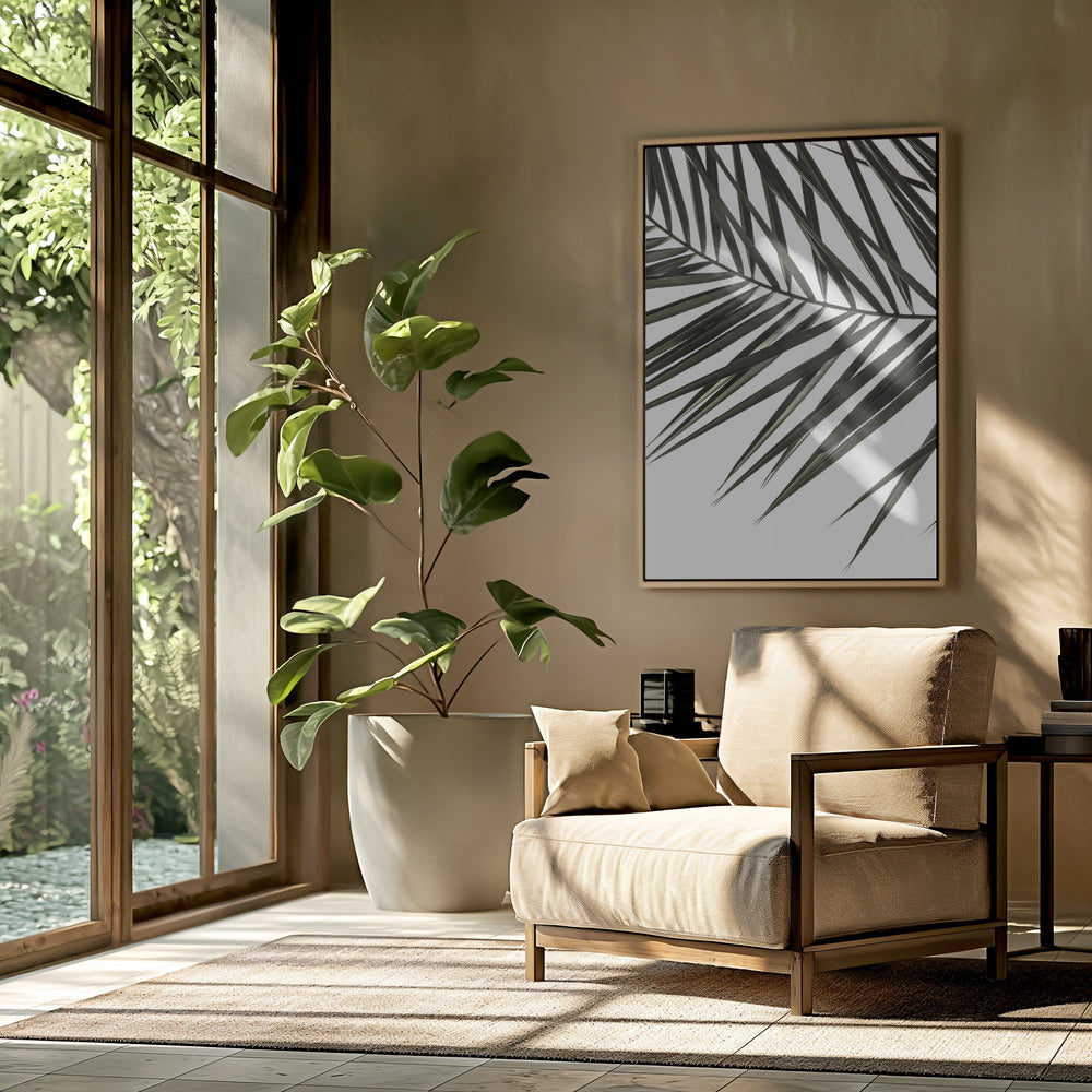 Frond Shadows | Poster