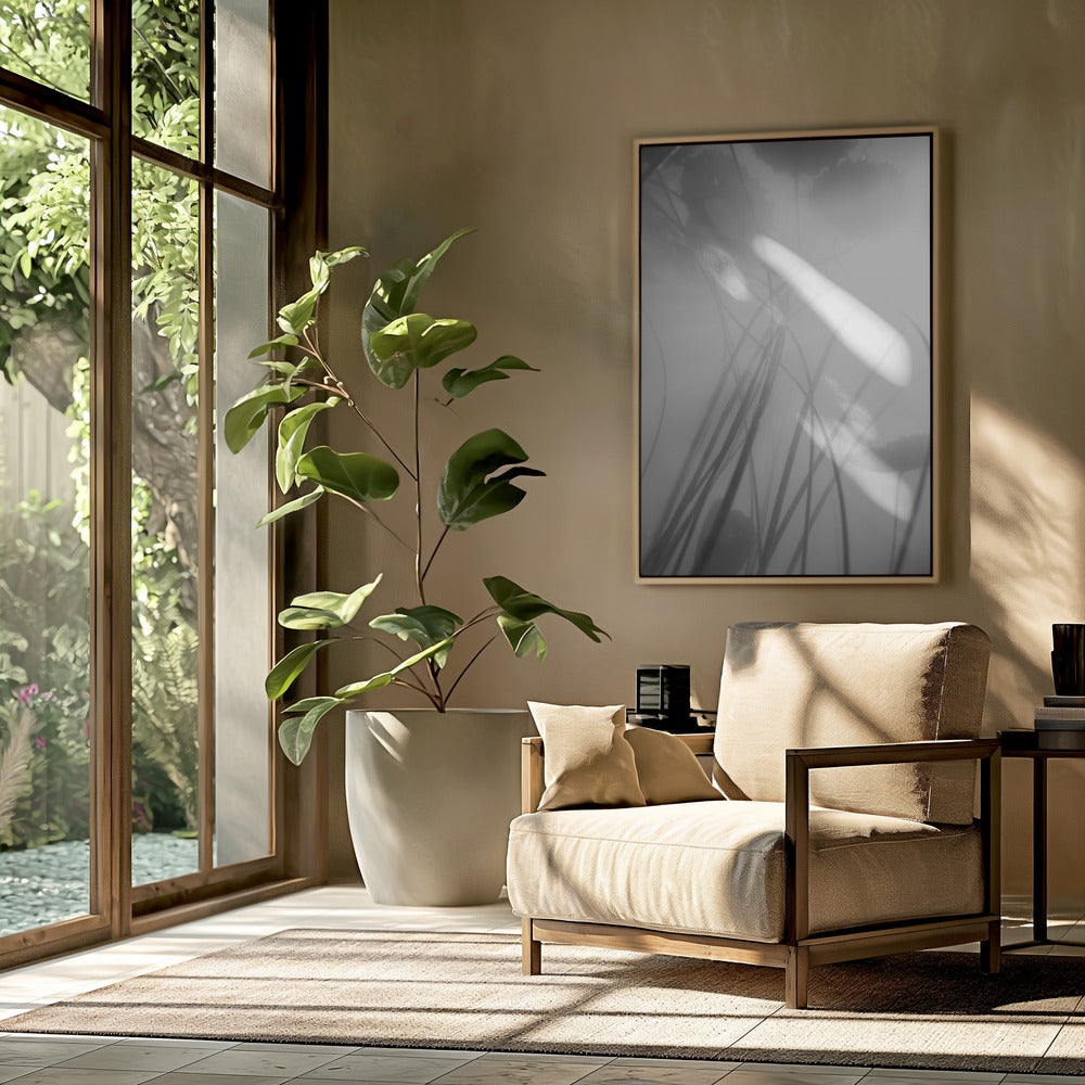 Water Lilly | Poster