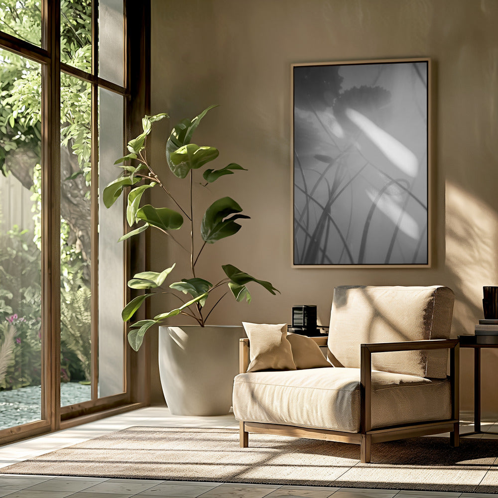 Water Lilly | Poster