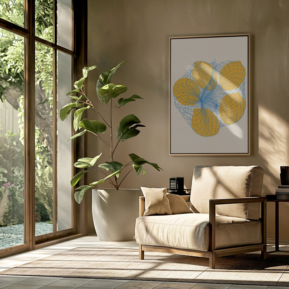 Five Lemons In a Net Bag | Poster