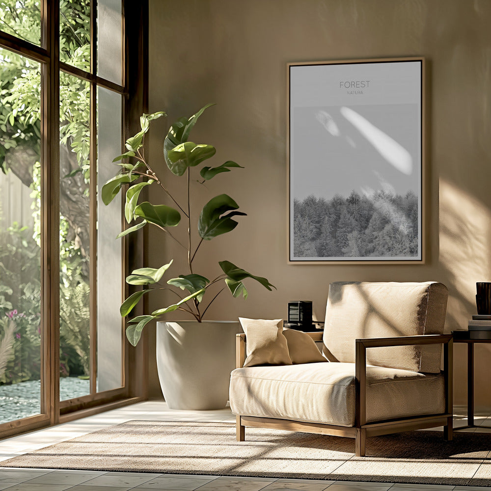 Frosted Tranquility | Poster