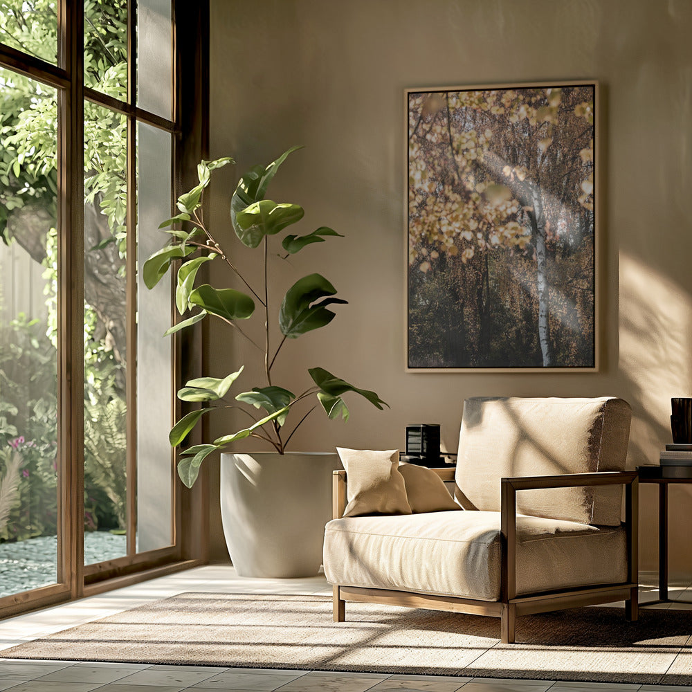 Autumn Birch Tree | Poster