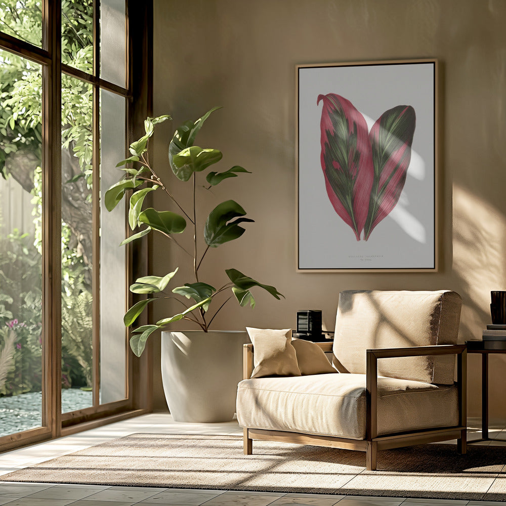 Pink Dracaena Terminalis Leaf Illustration | Poster