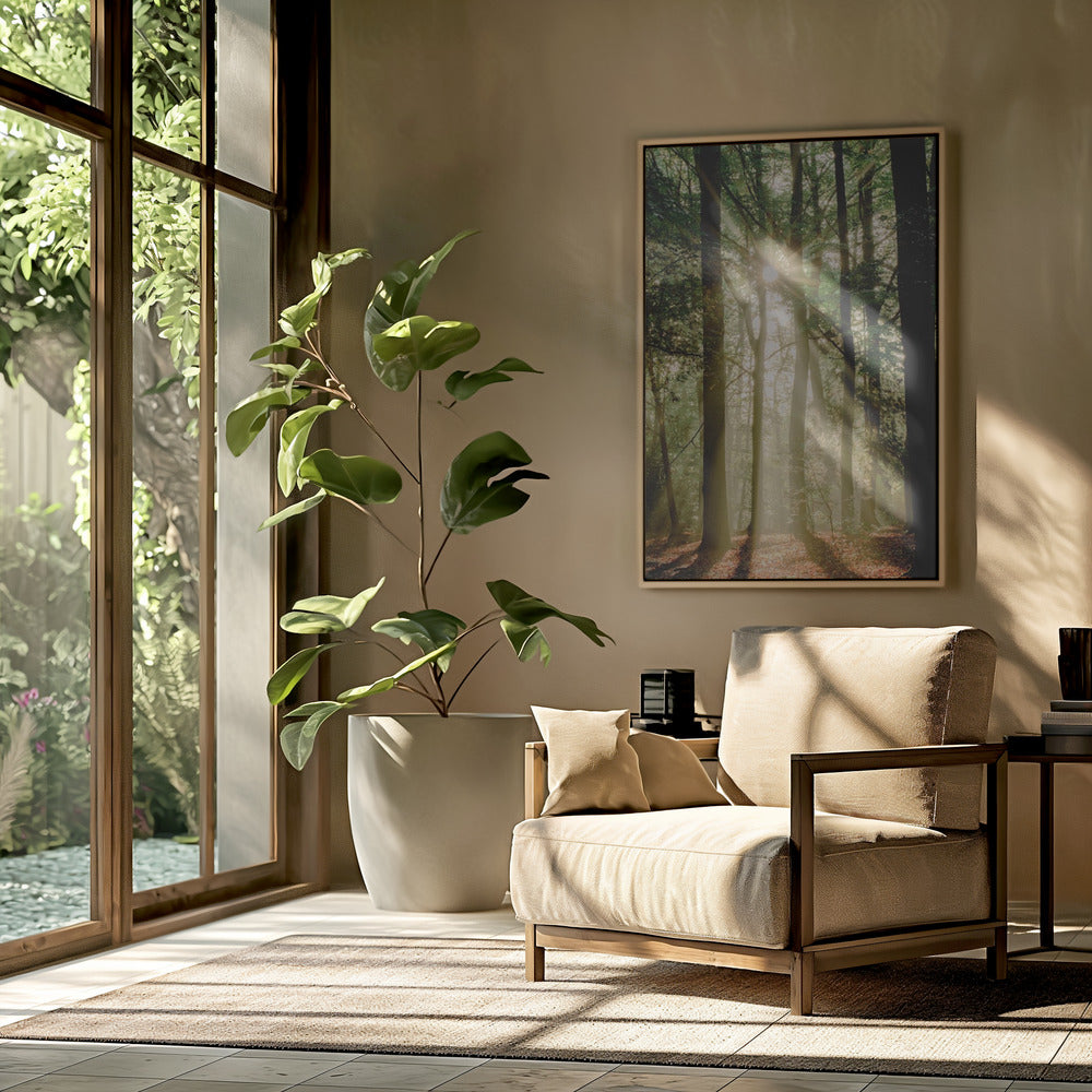 Sunbeams through the forest | Poster