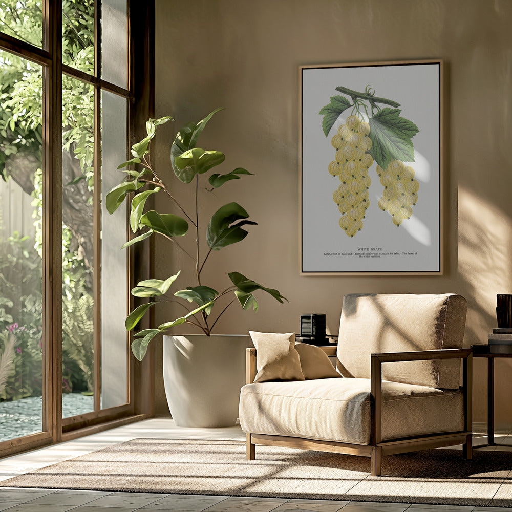 White Grape Lithograph | Poster