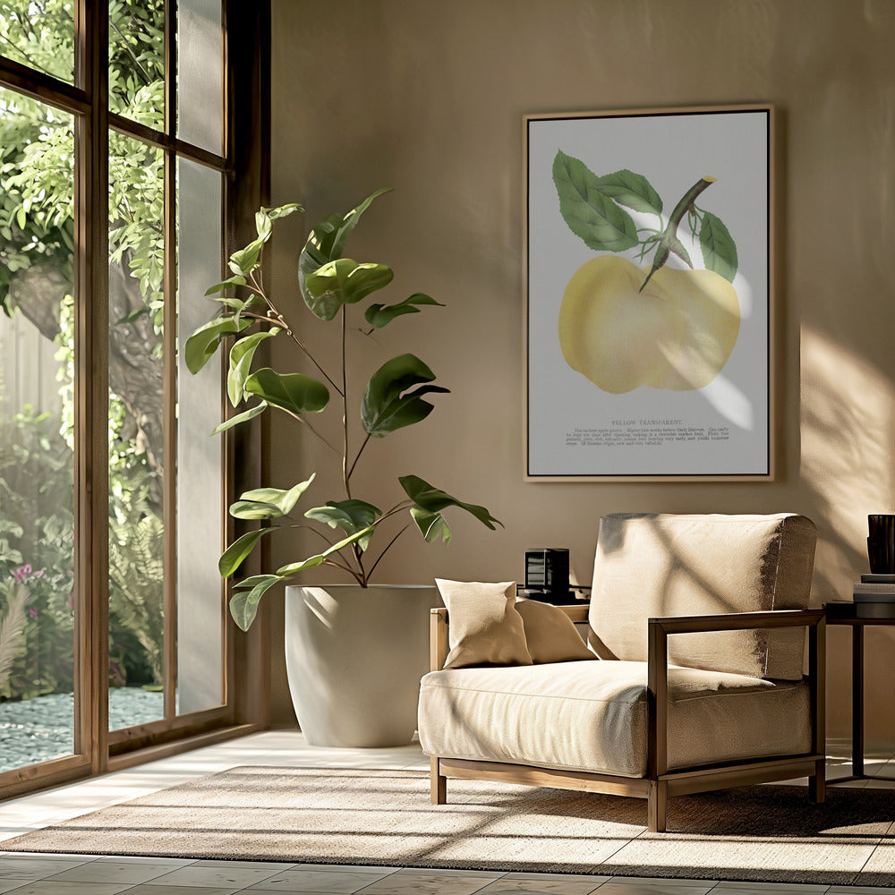 Yellow Transparent Apple Lithograph | Poster