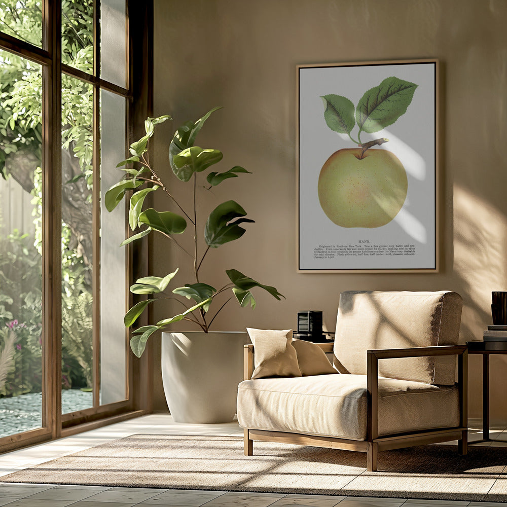 Mann Apple Lithograph | Poster