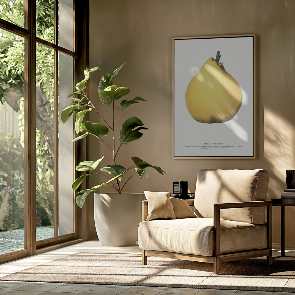 Meech's Prolific Pear Lithograph | Poster