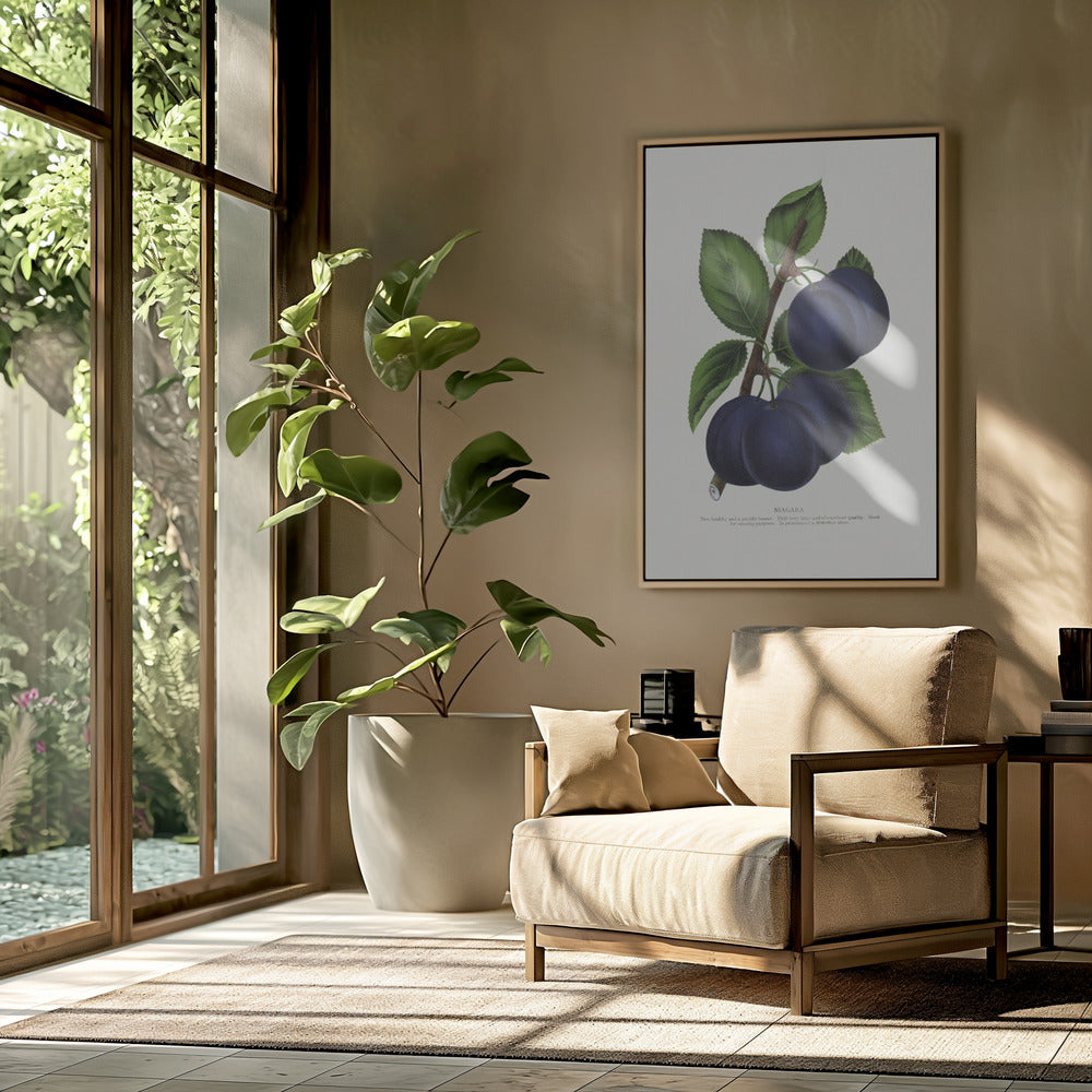 Niagara Plum Lithograph | Poster