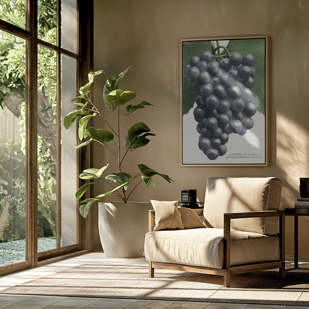 Campbell's Early Grape Lithograph | Poster
