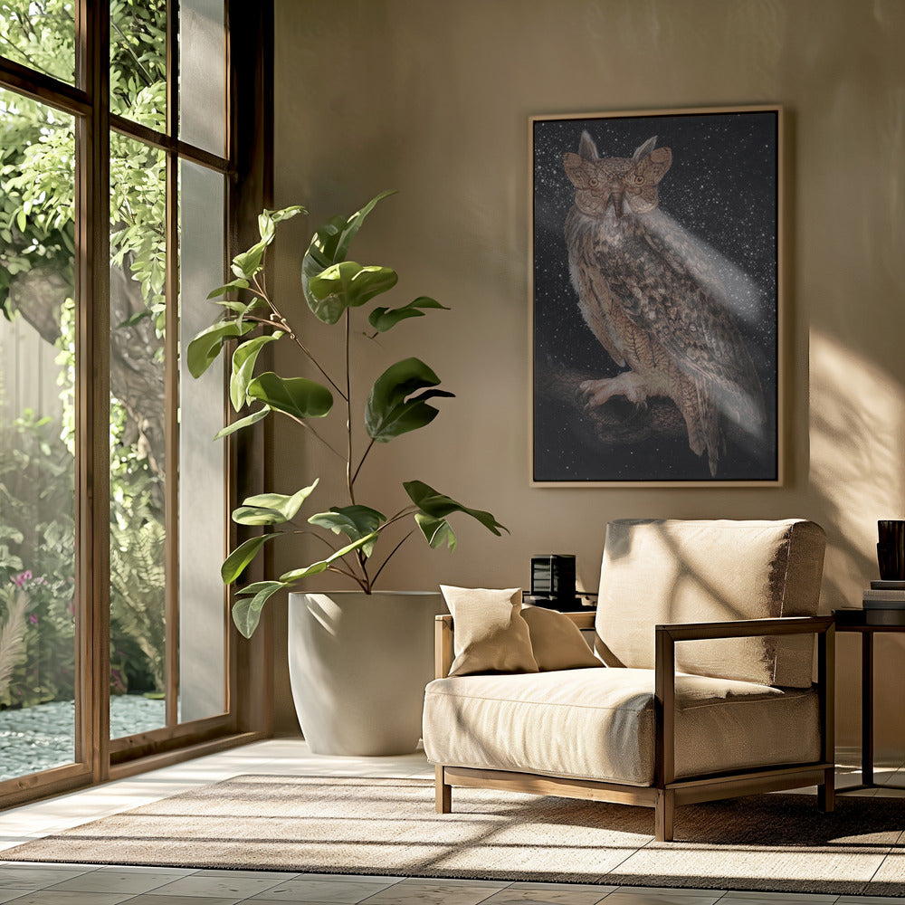 Camouflage and Stars Colour | Poster