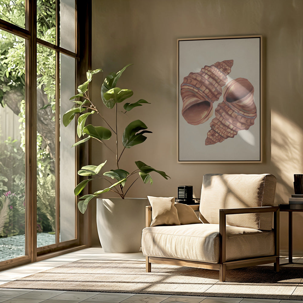 Seashell vintage | Poster