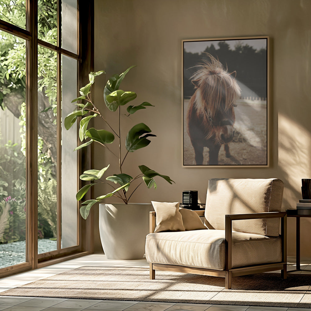 Pony with a Shaggy Mane | Poster