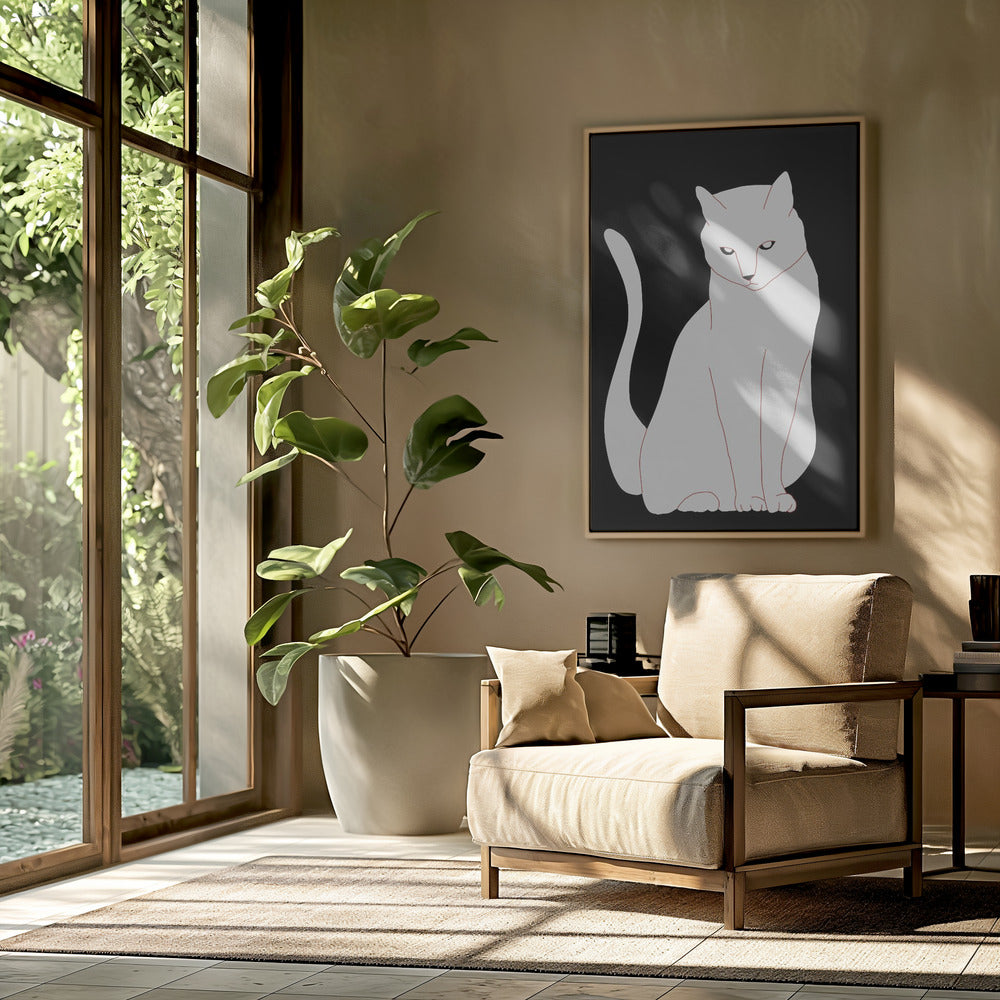 White and black cat | Poster