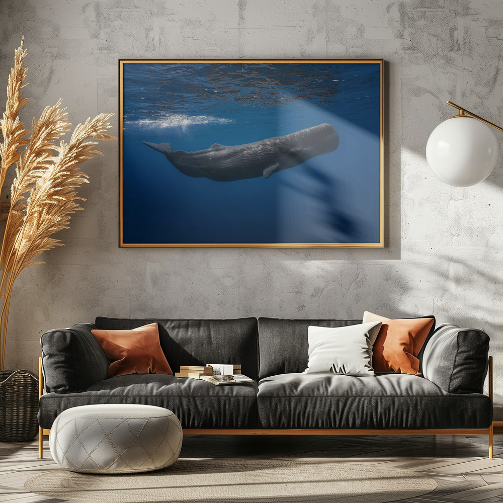 Sperm whale | Poster