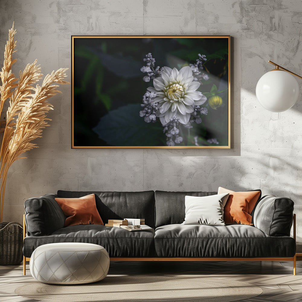 Dahlia flower | Poster